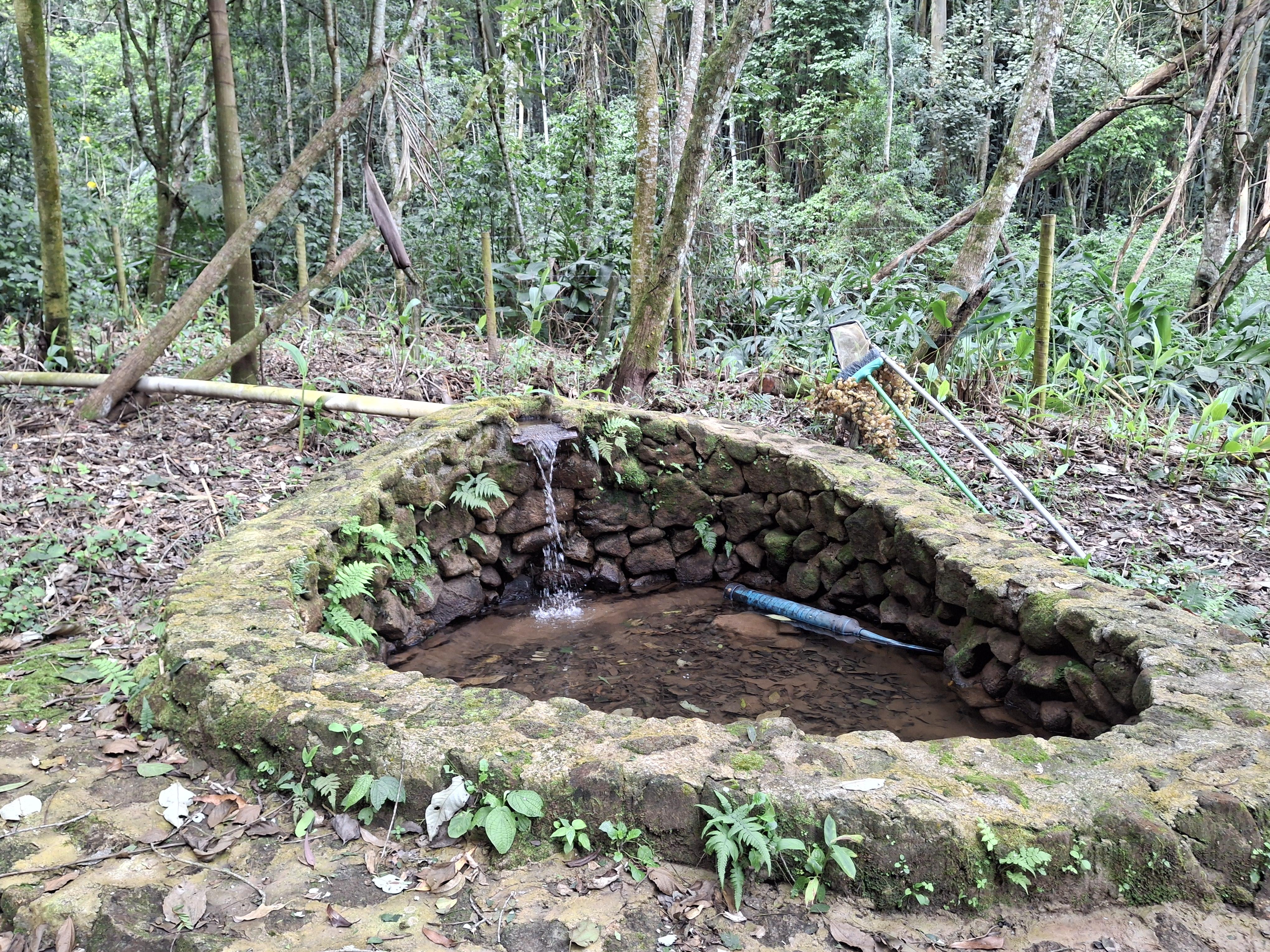 Sítio em Mailasqui, SÃO ROQUE - Haras estruturado com 6 cocheiras e 5 Baias americanas em São Roque! - Foto 235