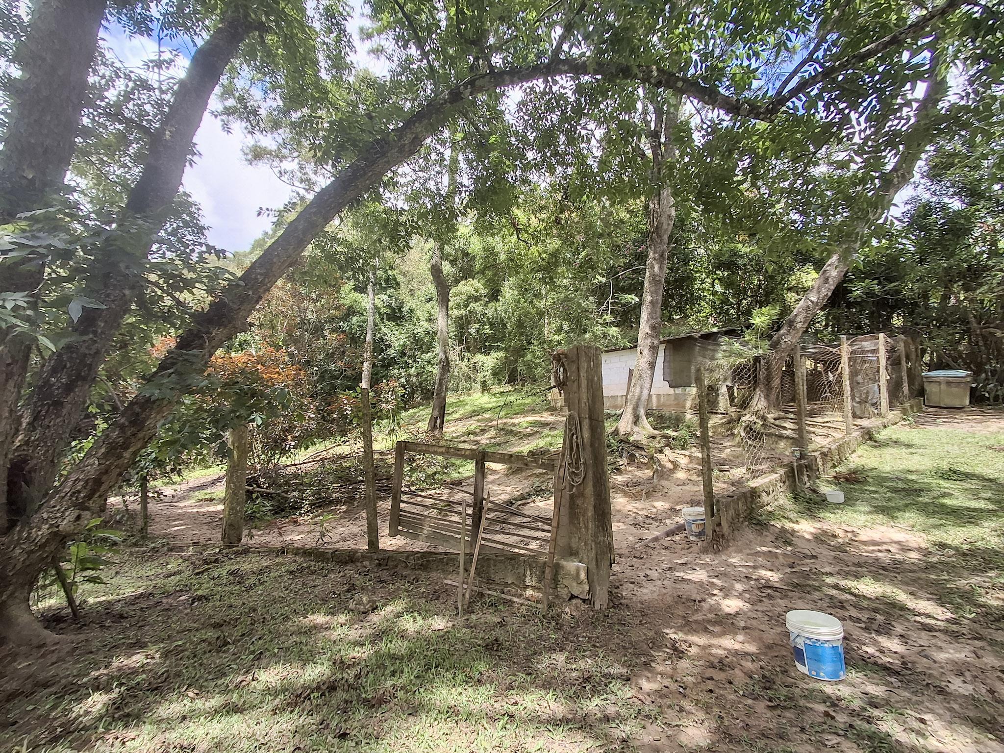Sítio em Alto Da Serra (Mailasqui), SÃO ROQUE - Foto 65