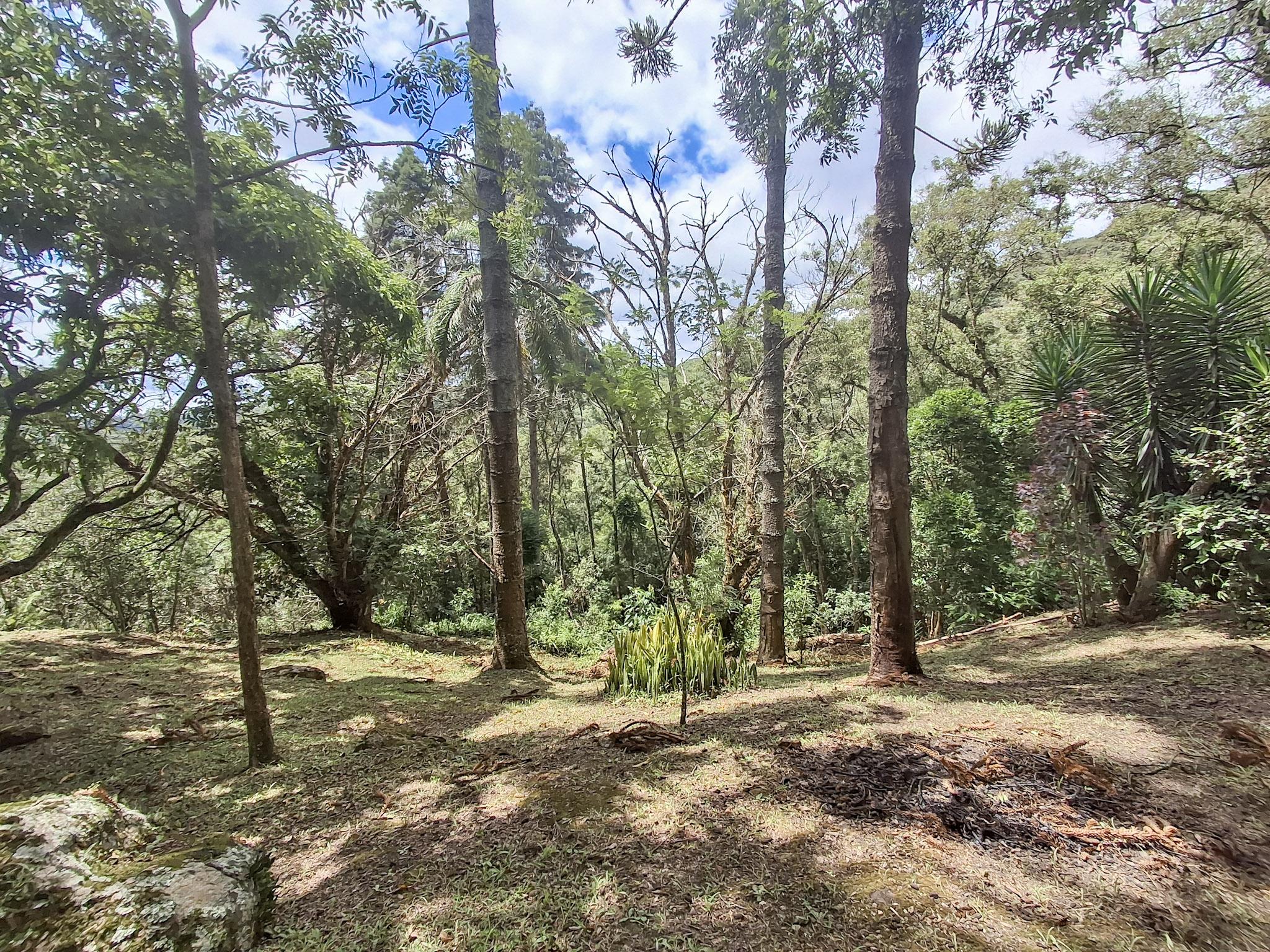 Sítio em Alto Da Serra (Mailasqui), SÃO ROQUE - Foto 67