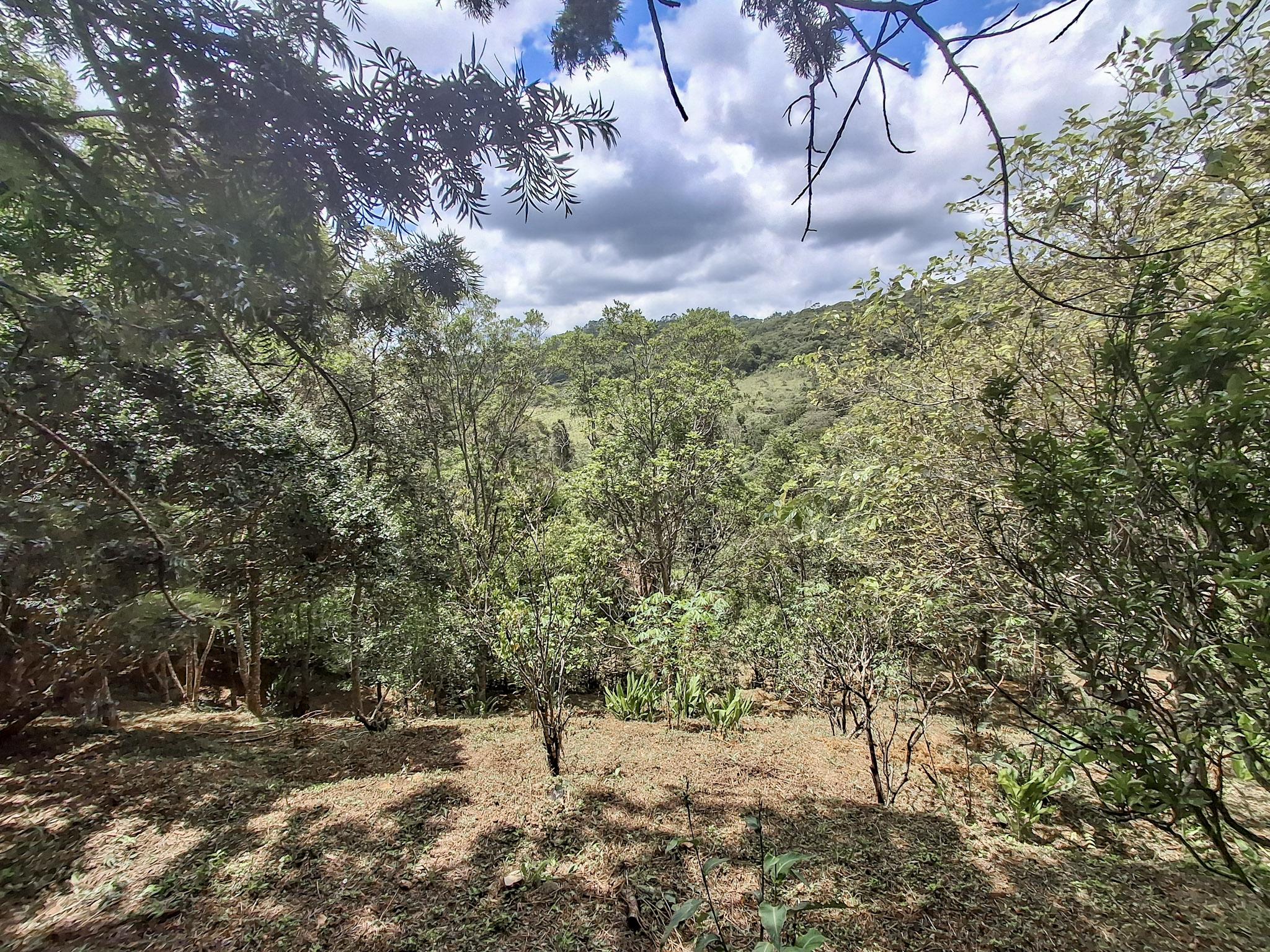 Sítio em Alto Da Serra (Mailasqui), SÃO ROQUE - Foto 73
