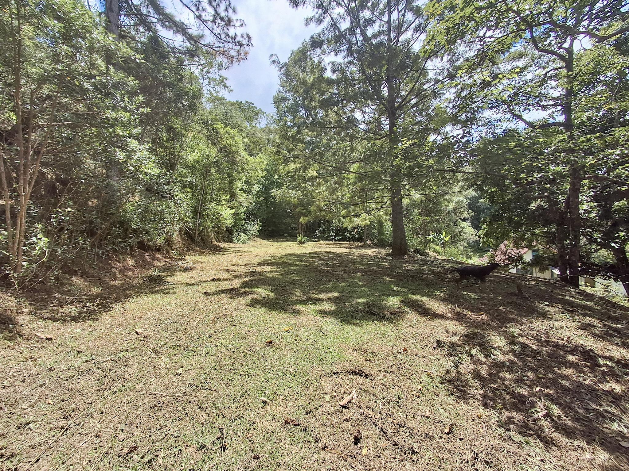Sítio em Alto Da Serra (Mailasqui), SÃO ROQUE - Foto 79