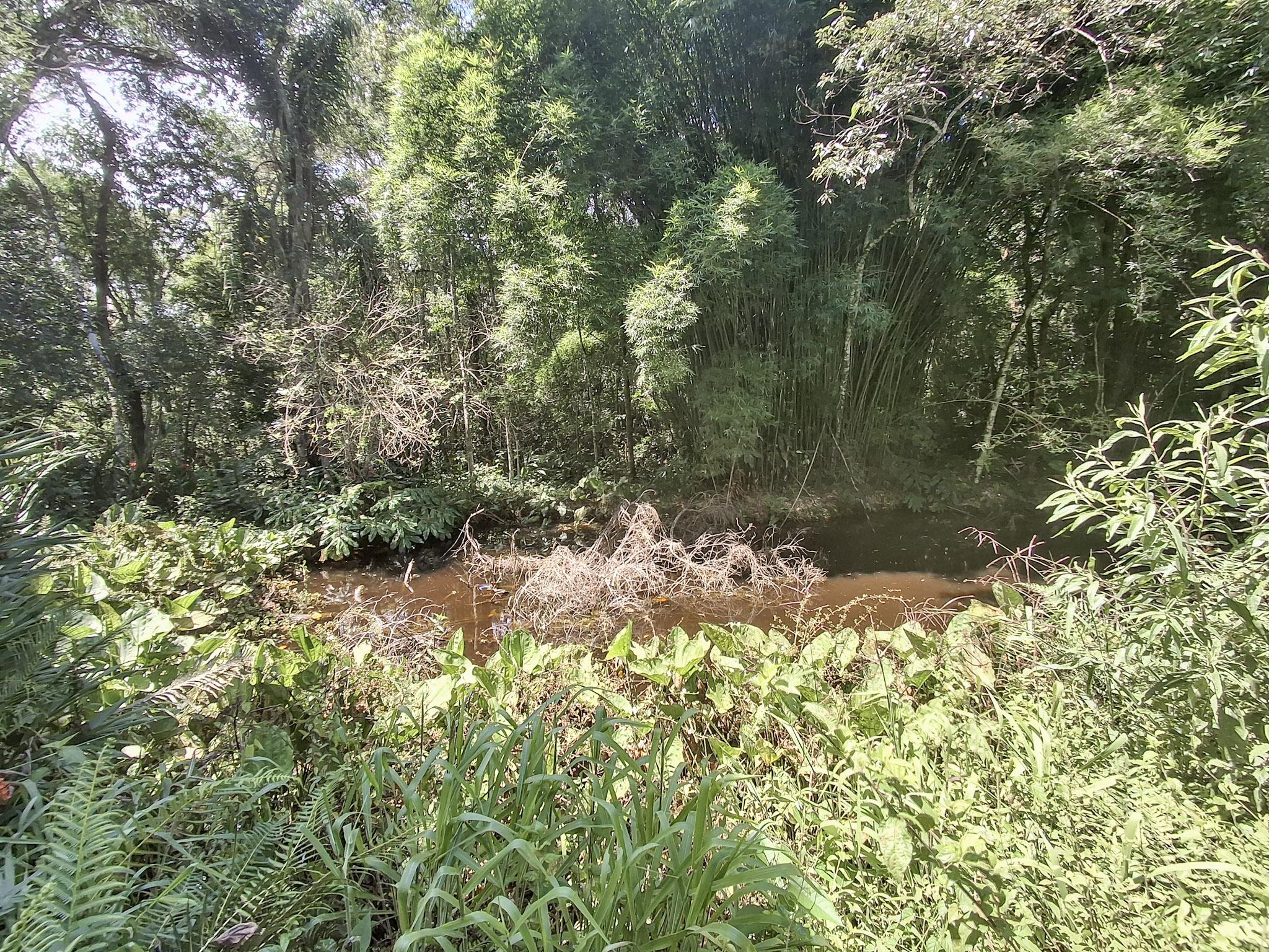 Sítio em Alto Da Serra (Mailasqui), SÃO ROQUE - Foto 85