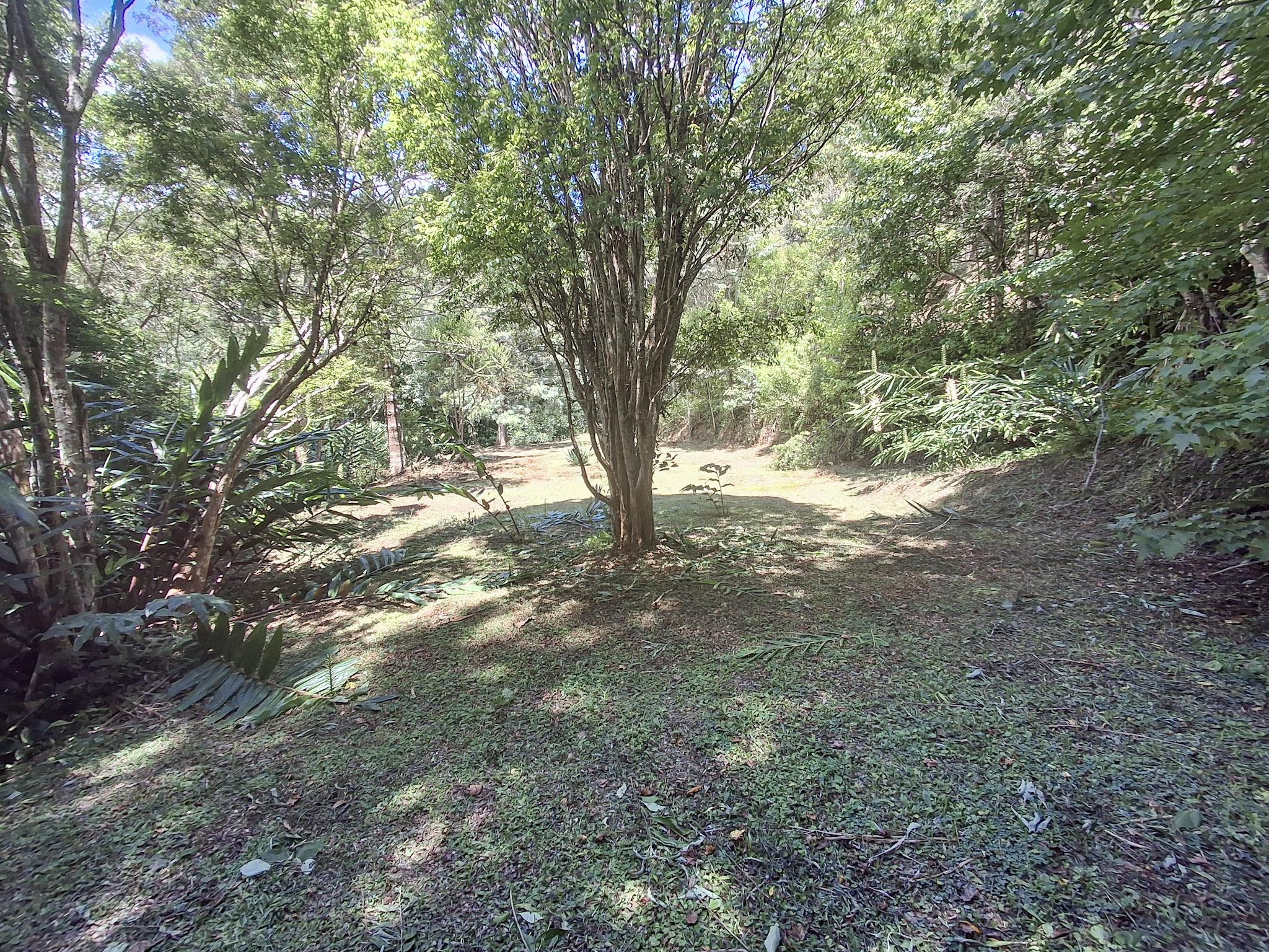 Sítio em Alto Da Serra (Mailasqui), SÃO ROQUE - Foto 87