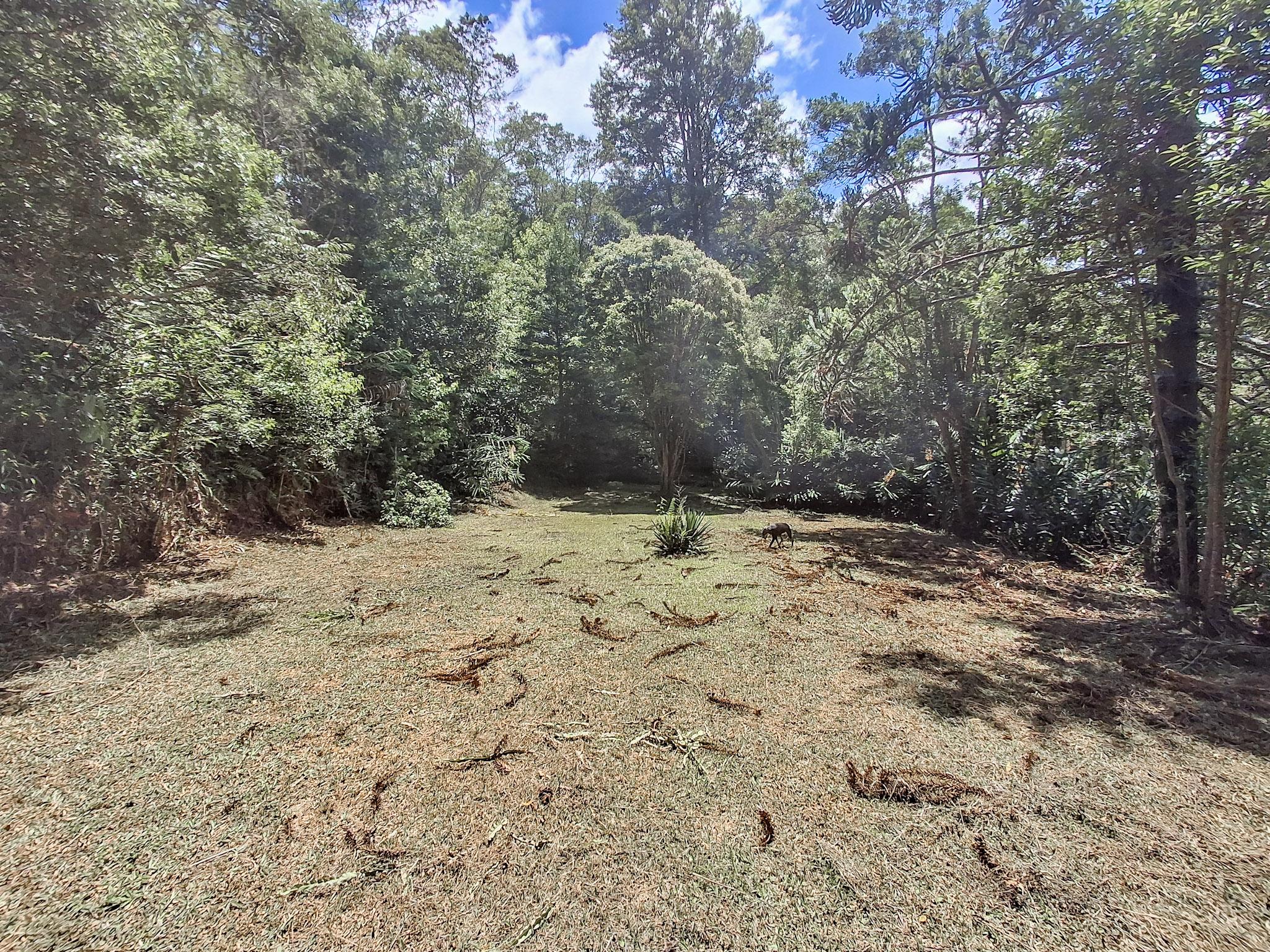 Sítio em Alto Da Serra (Mailasqui), SÃO ROQUE - Foto 89