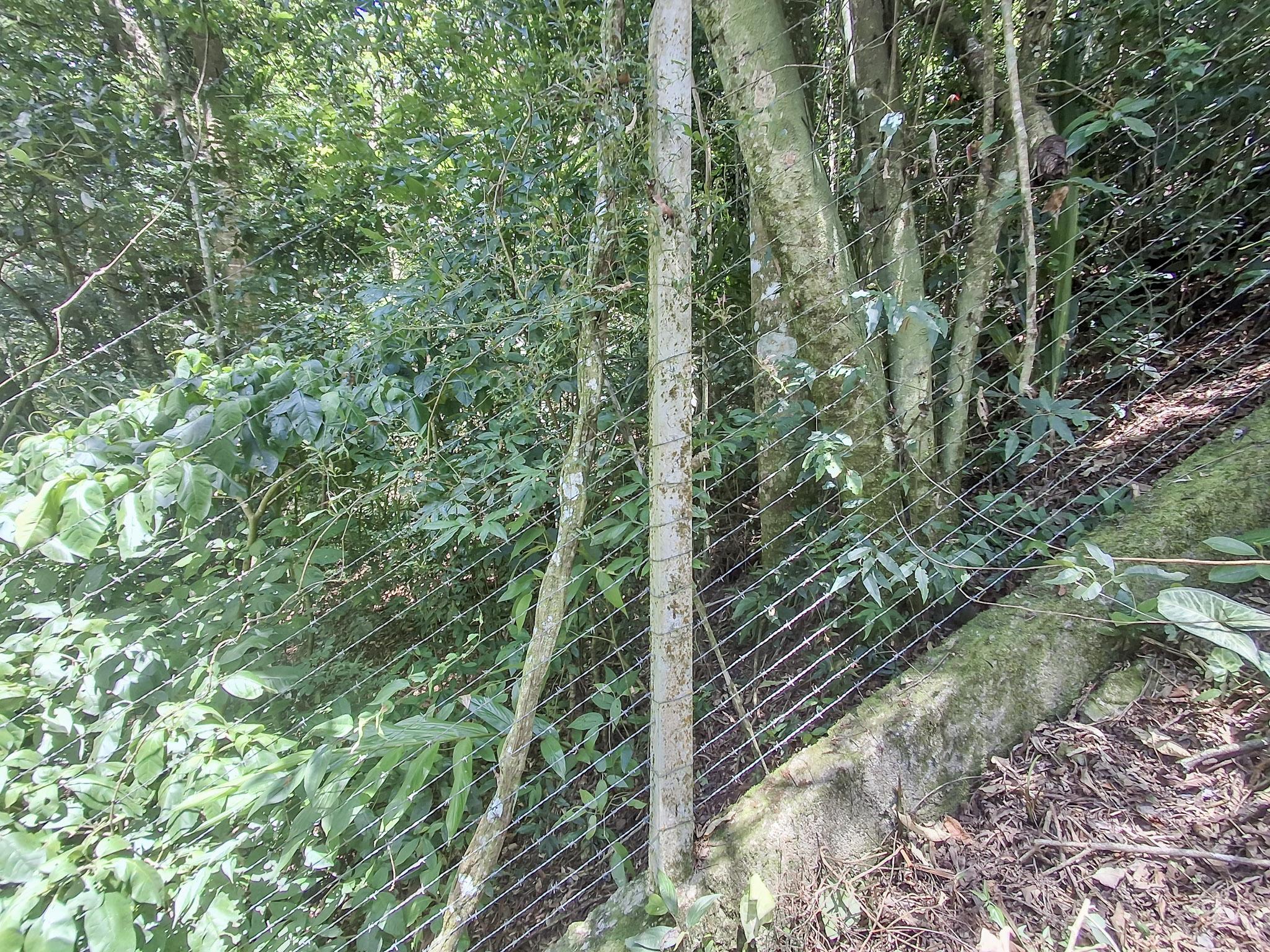 Sítio em Alto Da Serra (Mailasqui), SÃO ROQUE - Foto 91