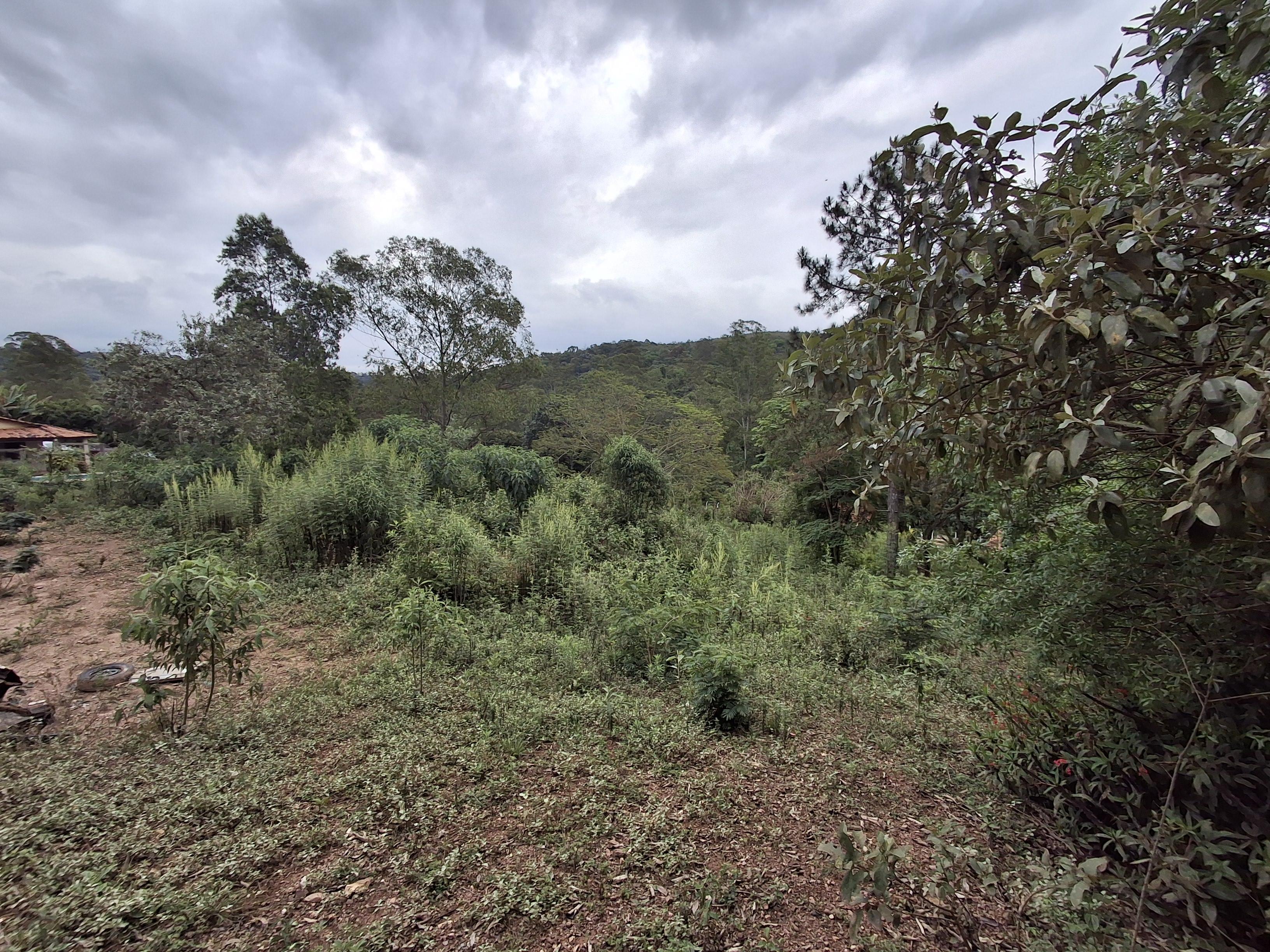 Terreno em Recanto das Acácias, SÃO ROQUE - Foto 13