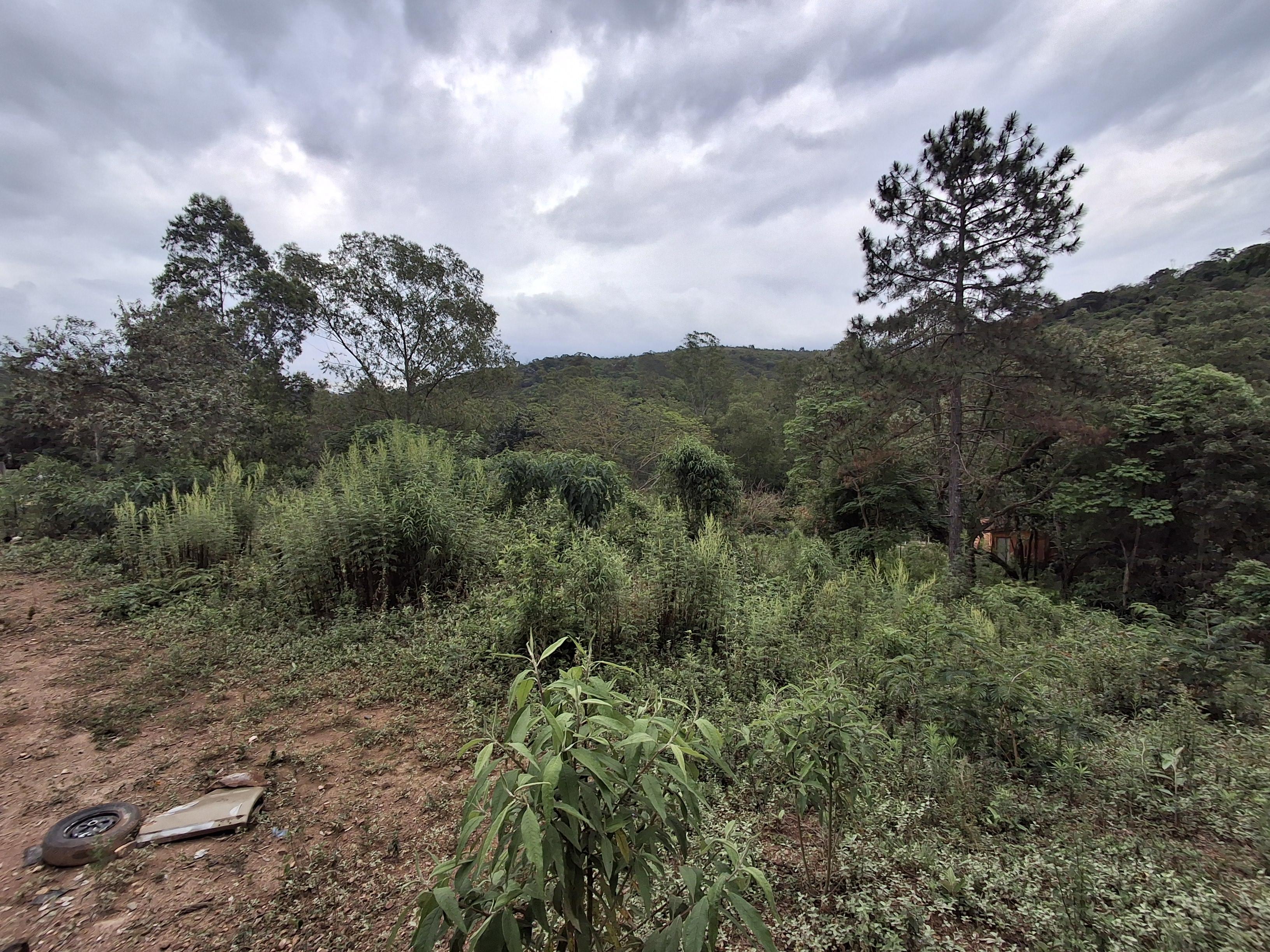 Terreno em Recanto das Acácias, SÃO ROQUE - Foto 17