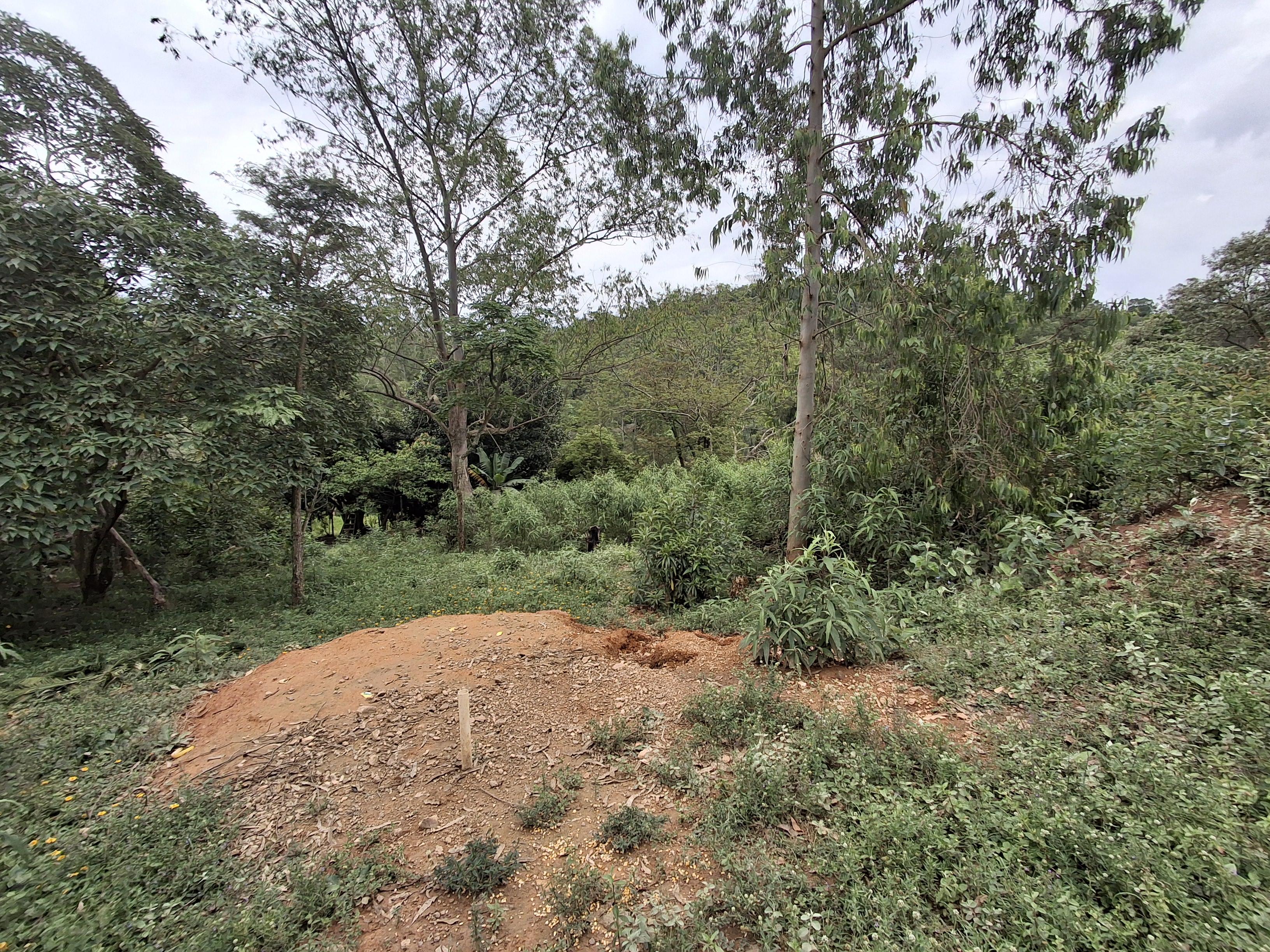 Terreno em Recanto das Acácias, SÃO ROQUE - Foto 27