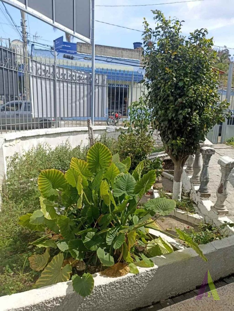 Casa Térrea Comercial em São Roque!