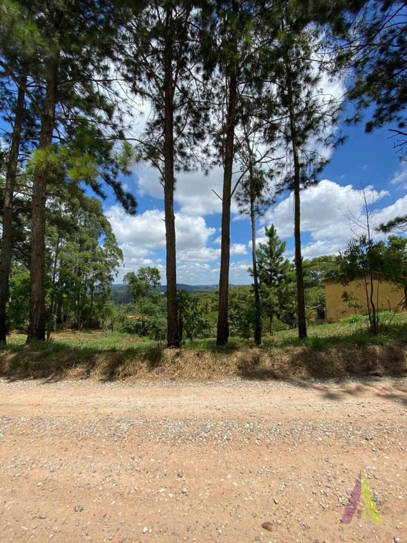 TERRENO NA ESTRADA DO VINHO EM SÃO ROQUE...
