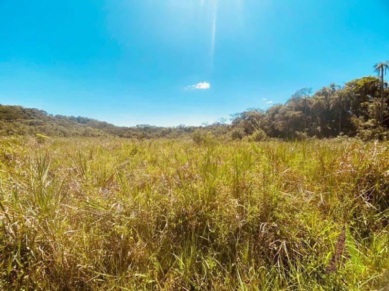 Sitio com 3 Casas e Lago em São Roque!
