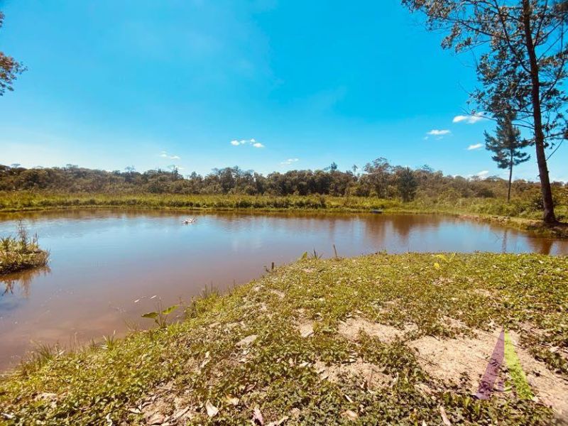 Sitio com 3 Casas e Lago em São Roque!