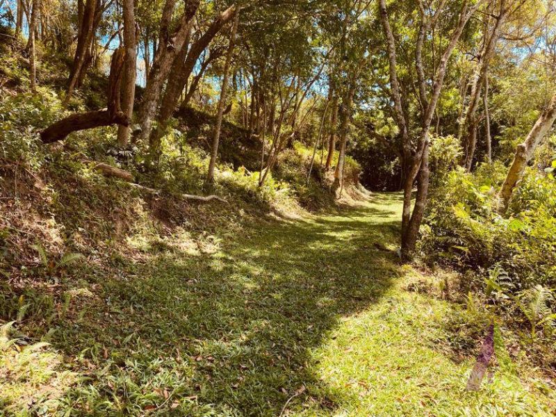 Sitio com 3 Casas e Lago em São Roque!