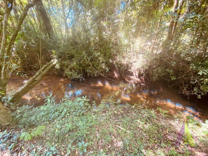 Sitio com 3 Casas e Lago em São Roque!
