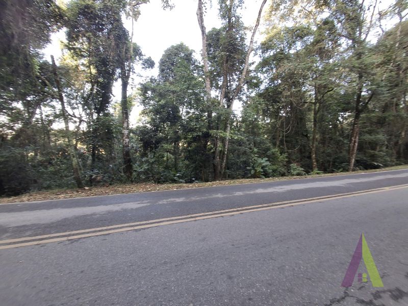 Terreno em Centro (Canguera), SÃO ROQUE - Foto 8