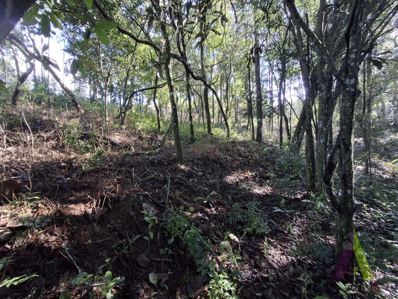 Terreno em Vila Darcy Penteado (Mailasqui), SÃO ROQUE - Foto 16