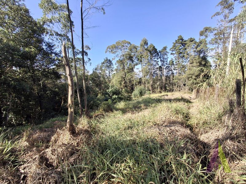 Terreno em Vila Darcy Penteado (Mailasqui), SÃO ROQUE - Foto 4