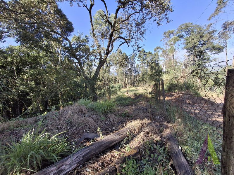 Terreno em Vila Darcy Penteado (Mailasqui), SÃO ROQUE - Foto 24