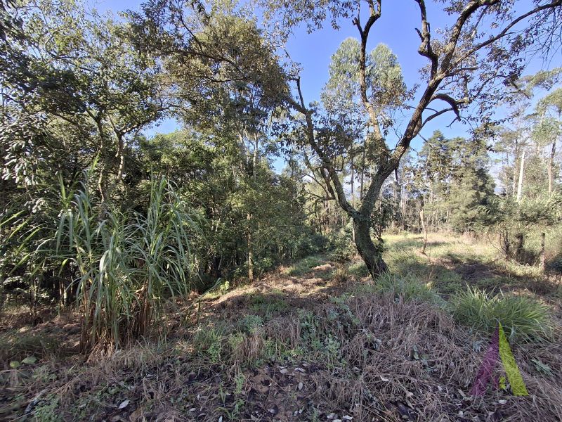 Terreno em Vila Darcy Penteado (Mailasqui), SÃO ROQUE - Foto 28