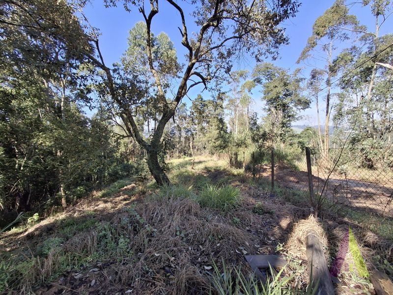 Terreno em Vila Darcy Penteado (Mailasqui), SÃO ROQUE - Foto 30