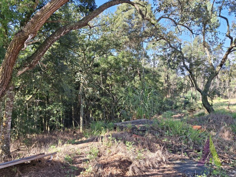 Terreno em Vila Darcy Penteado (Mailasqui), SÃO ROQUE - Foto 34