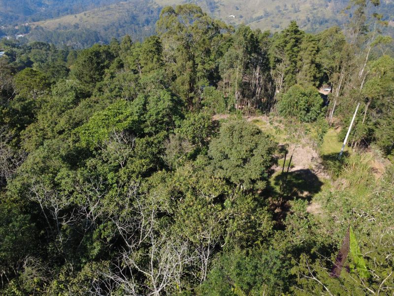 Terreno em Vila Darcy Penteado (Mailasqui), SÃO ROQUE - Foto 22