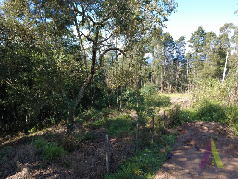 Terreno em Vila Darcy Penteado (Mailasqui), SÃO ROQUE - Foto 8