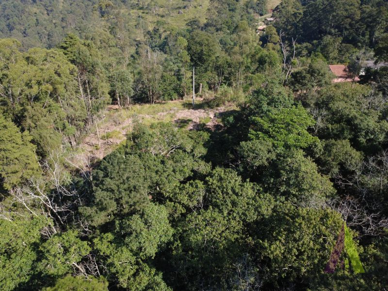 Terreno em Vila Darcy Penteado (Mailasqui), SÃO ROQUE - Foto 14