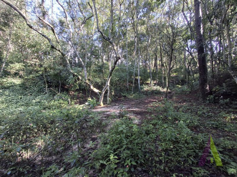 Terreno em Vila Darcy Penteado (Mailasqui), SÃO ROQUE - Foto 12