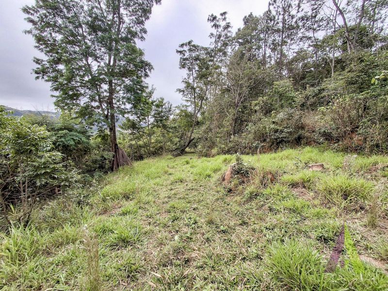 Chácara com 3 lagos e acessibilidade rodeada de muito verde em São Roque!