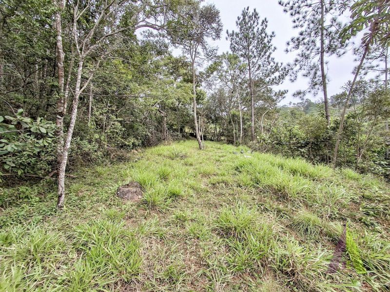 Chácara com 3 lagos e acessibilidade rodeada de muito verde em São Roque!