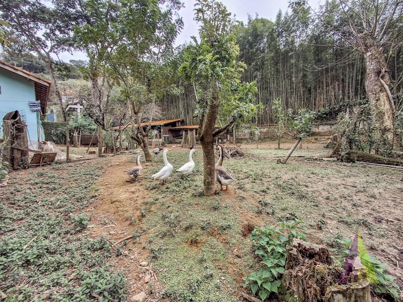 Chácara com 3 lagos e acessibilidade rodeada de muito verde em São Roque!