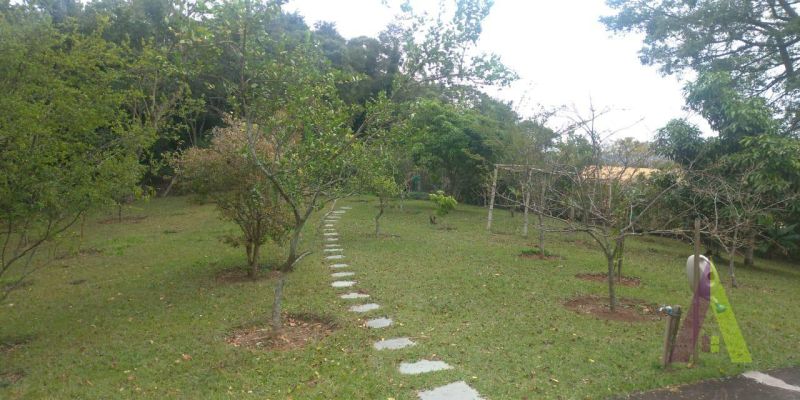 Sítio em Planalto Verde, SÃO ROQUE - Foto 27