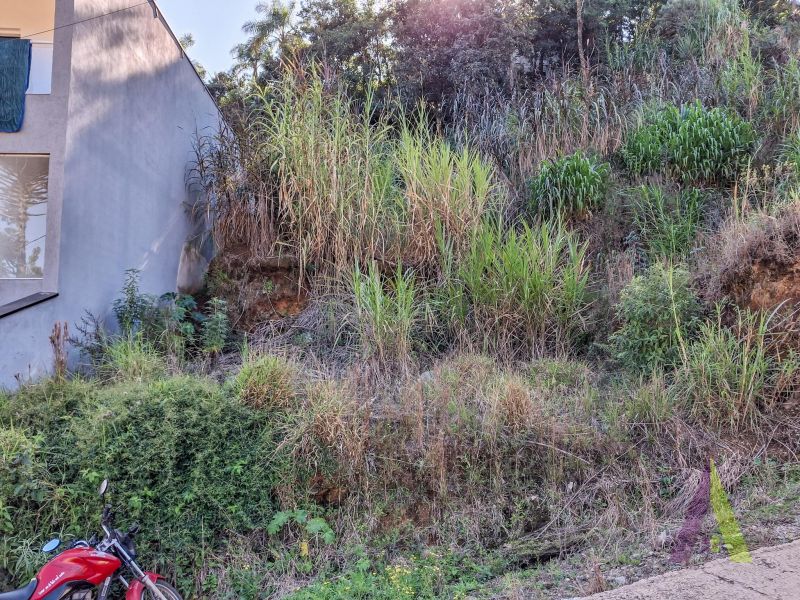 Terreno em Bairro do Cambará, SÃO ROQUE - Foto 12