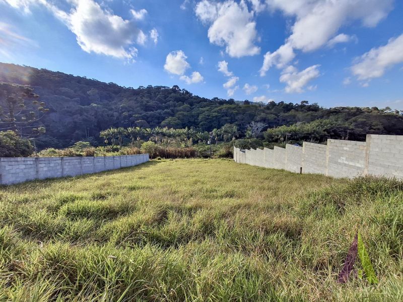 Terreno em Vinhedos, SÃO ROQUE - Foto 16