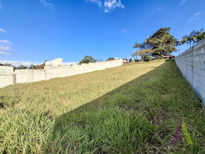Terreno em Vinhedos, SÃO ROQUE - Foto 6
