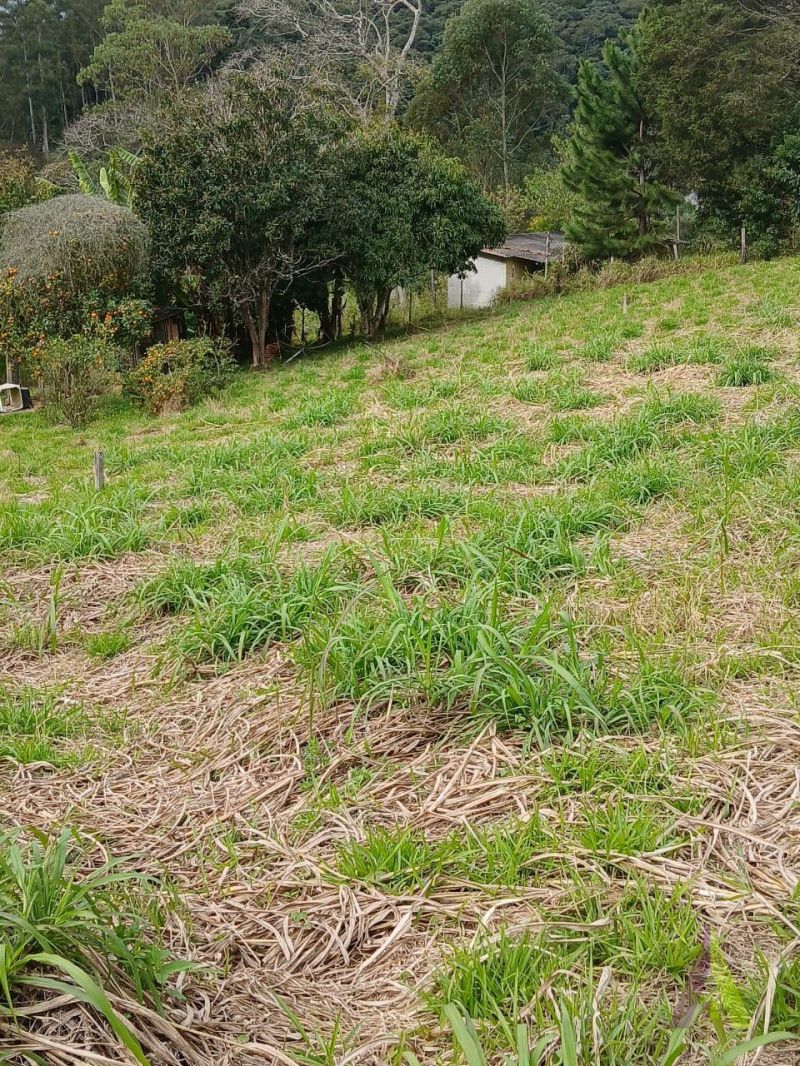 Terreno em Sorocamirim (Canguera), SÃO ROQUE - Terreno Pronto para Construir  Bairro Sorocamirim em São Roque! - Foto 6