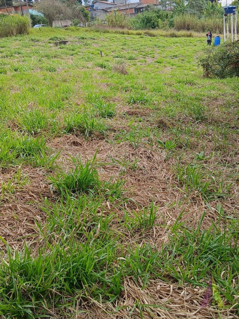Terreno em Sorocamirim (Canguera), SÃO ROQUE - Terreno Pronto para Construir  Bairro Sorocamirim em São Roque! - Foto 16