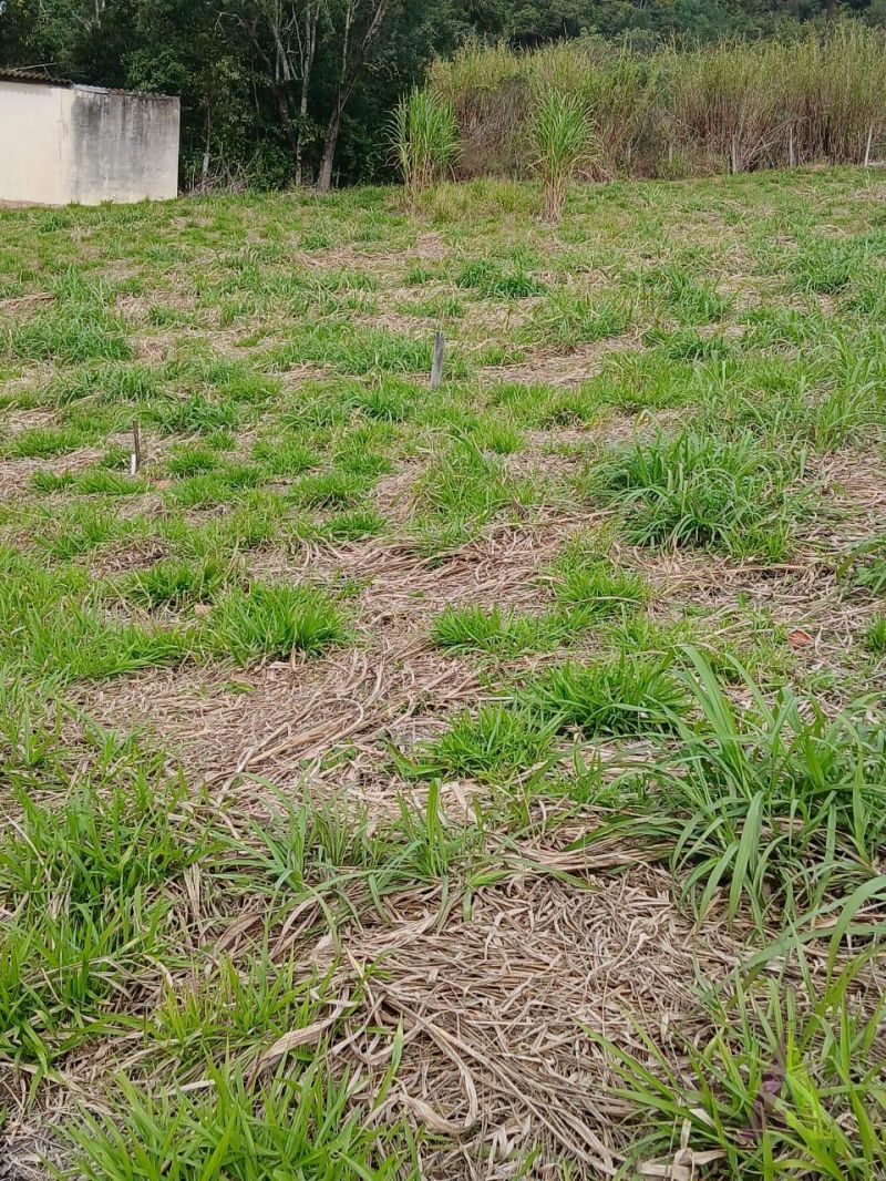 Terreno em Sorocamirim (Canguera), SÃO ROQUE - Terreno Pronto para Construir  Bairro Sorocamirim em São Roque! - Foto 10