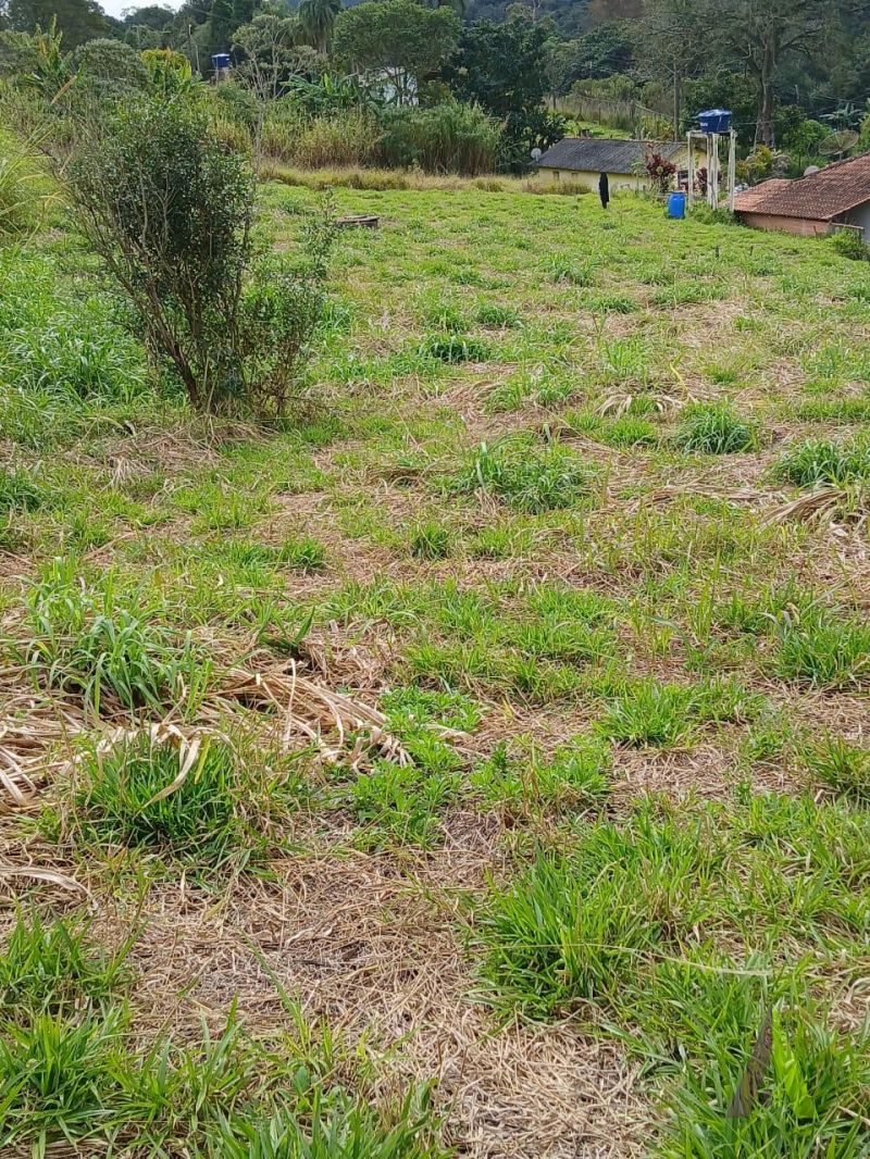 Terreno em Sorocamirim (Canguera), SÃO ROQUE - Terreno Pronto para Construir  Bairro Sorocamirim em São Roque! - Foto 2
