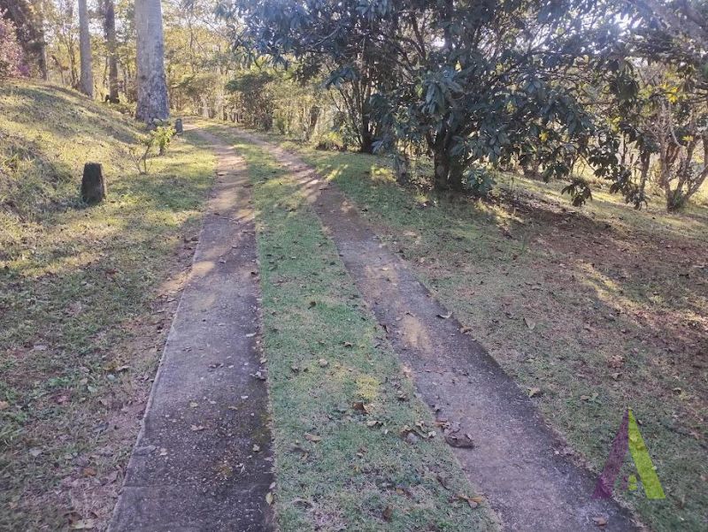 Sítio em Roteiro do Vinho, SÃO ROQUE - Foto 6