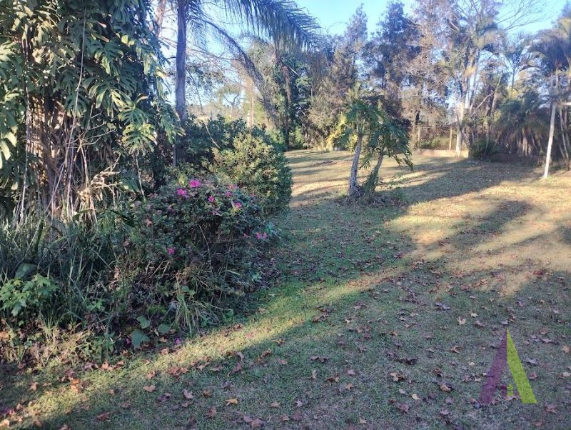 Sítio em Roteiro do Vinho, SÃO ROQUE - Foto 9