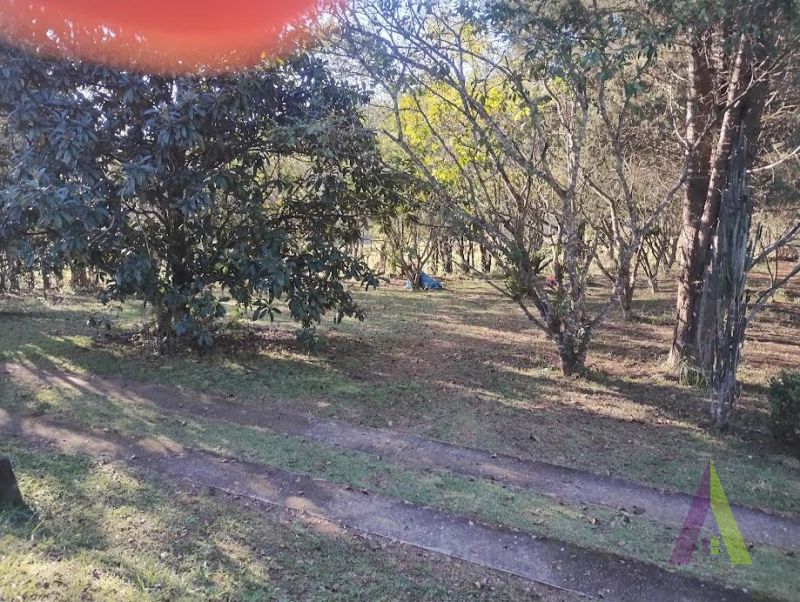 Sítio em Roteiro do Vinho, SÃO ROQUE - Foto 22