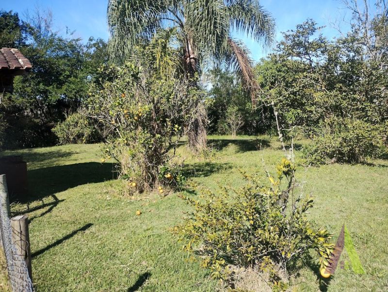 Sítio em Roteiro do Vinho, SÃO ROQUE - Foto 54