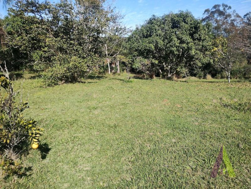 Sítio em Roteiro do Vinho, SÃO ROQUE - Foto 58
