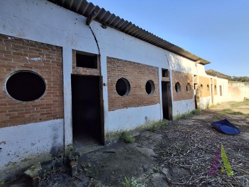 Sítio em Sorocamirim (Canguera), SÃO ROQUE - Foto 127