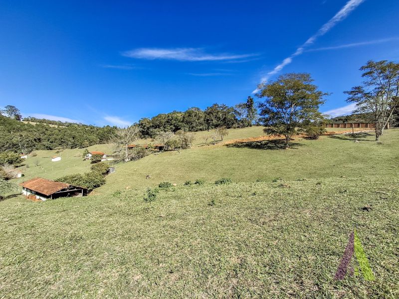 Sítio em Vila Darcy Penteado (Mailasqui), SÃO ROQUE - Foto 38