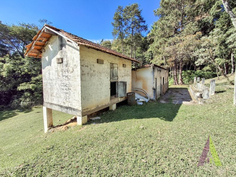 Sítio em Vila Darcy Penteado (Mailasqui), SÃO ROQUE - Foto 64