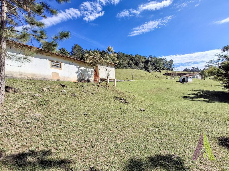 Sítio em Vila Darcy Penteado (Mailasqui), SÃO ROQUE - Foto 68