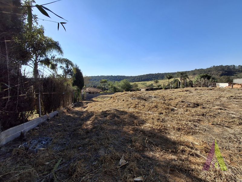 Terreno em Pavão (Canguera), SÃO ROQUE - Foto 5